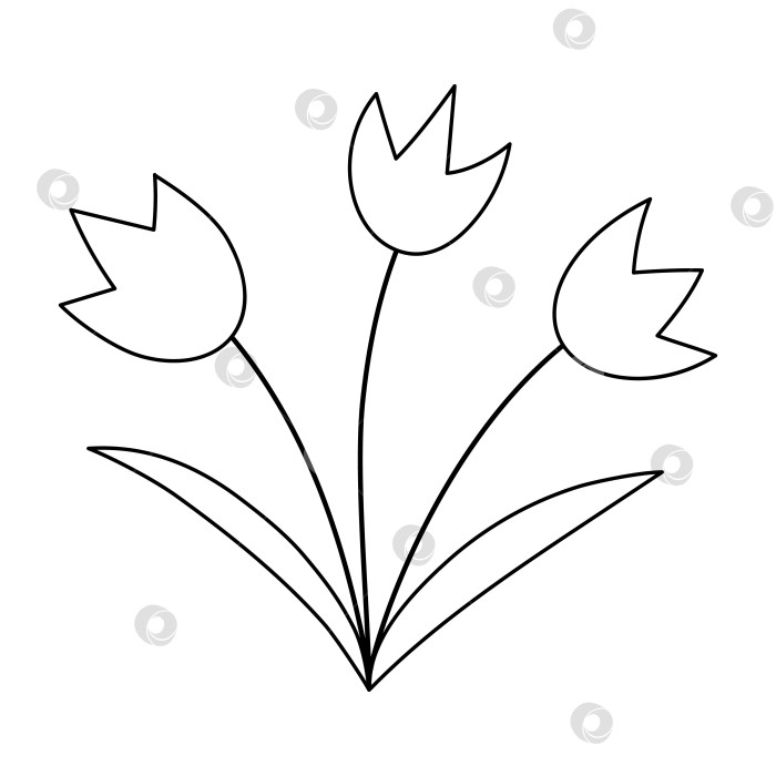 Скачать Векторный значок черно-белых тюльпанов. Иллюстрация с набросками первых цветущих растений или страница-раскраска. Цветочный клип-арт. Милые весенние цветы, изолированные на белом фоне. фотосток Ozero