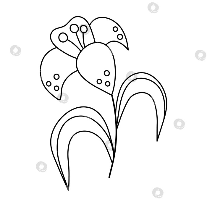 Скачать Векторный значок черно-белой лилии. Иллюстрация с контуром цветка пасхального символа или страница-раскраска. Цветочный клип-арт. Симпатичное весеннее растение, изолированное на белом фоне. фотосток Ozero