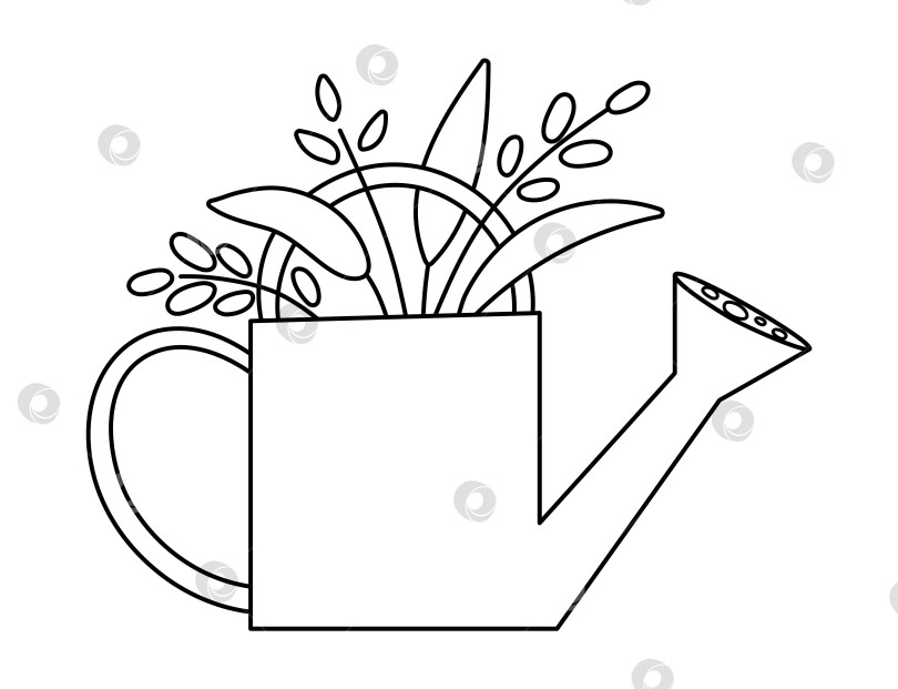 Скачать Векторная симпатичная черно-белая лейка со значком растения, изолированным на белом фоне. Набросайте иллюстрацию весеннего садового инструмента. Забавная картинка с садовым инвентарем или раскраска для детей. фотосток Ozero