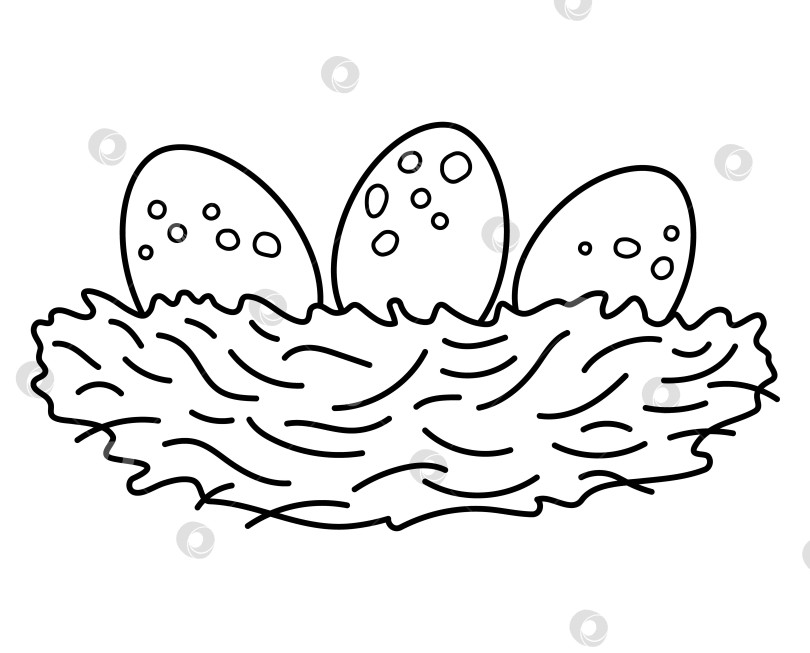 Скачать Векторное черно-белое птичье гнездо со значком яйца. Контурная иллюстрация фермы или Пасхи, выделенная на белом фоне. Милая весенняя картинка или раскраска для детей фотосток Ozero