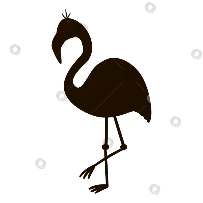 Скачать Векторный милый забавный силуэт фламинго, изолированный на белом фоне. Забавная иллюстрация тропической экзотической птицы. Черная трафаретная картинка для детей. Летний клип в джунглях фотосток Ozero
