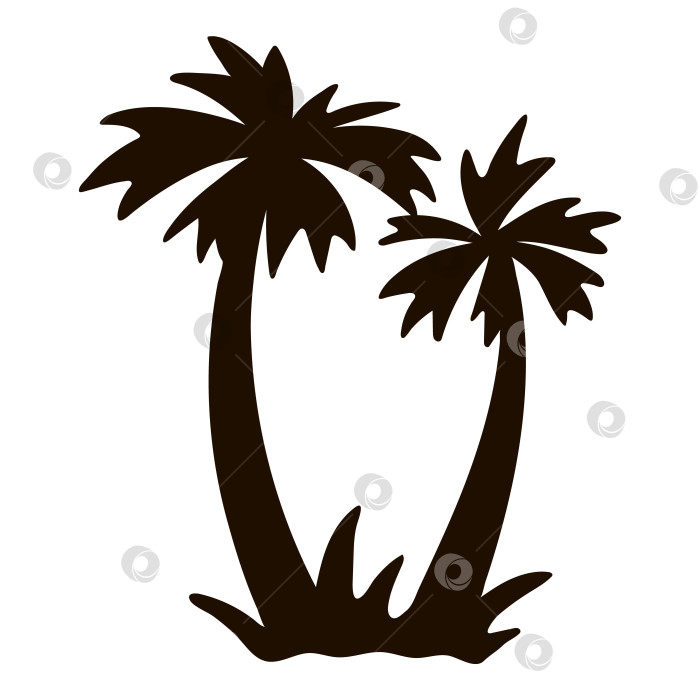 Скачать Векторный силуэт тропической пальмы. Значок черной листвы джунглей. Нарисованное от руки экзотическое растение, изолированное на белом фоне. Иллюстрация черной летней зелени. фотосток Ozero