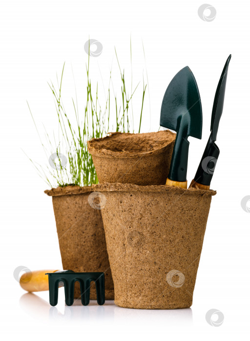 Скачать Инструменты для садоводства: торфяной горшок с рассадой и лопаты, выделенные на белом фоне фотосток Ozero