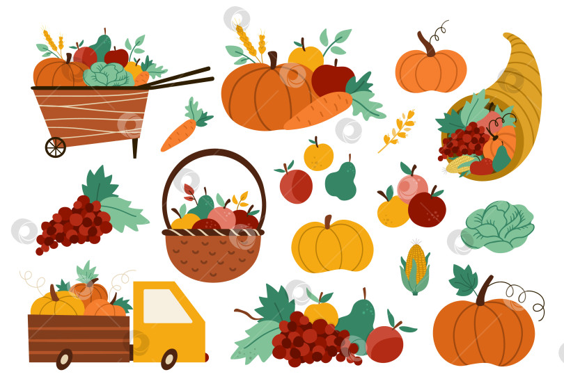 Скачать Осенний сбор урожая начался. Векторная коллекция овощей, фруктов и ягод фермы с тыквами, морковью, яблоками, капустой, кукурузой, грушей, виноградом. Забавная осенняя иллюстрация с корзиной, грузовиком, тачкой, рогом изобилия фотосток Ozero