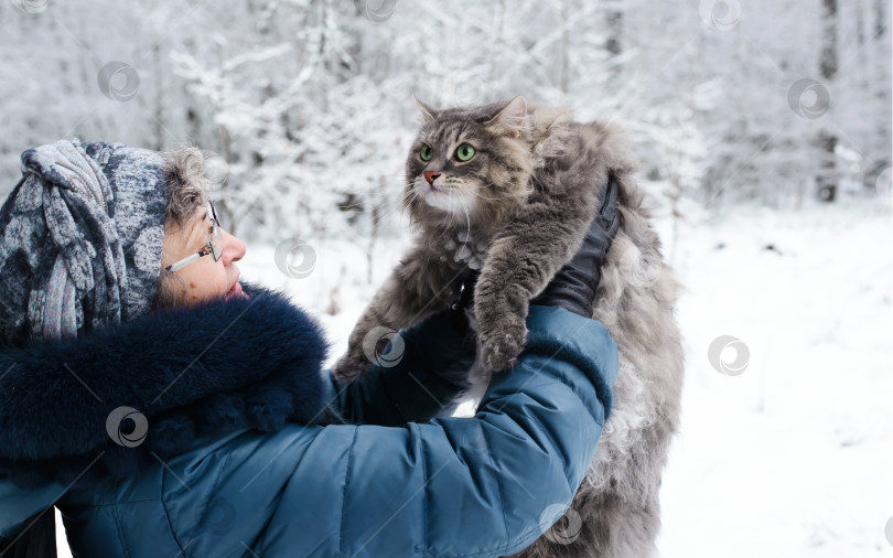 Скачать Женщина держит на руках пушистую кошку на улице в зимнем лесу. Хозяйка смотрит на свою кошку. Сибирская порода фотосток Ozero