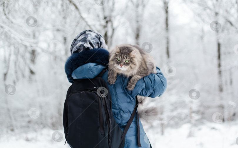 Скачать Женщина, несущая кошку на плече снаружи, в зимнем лесу. Пушистый кот с грустным выражением на морде, смотрящий в сторону фотосток Ozero