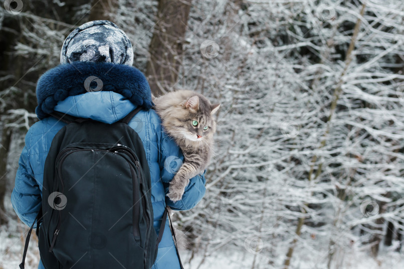 Скачать Женщина с кошкой на руках на улице, в зимнем лесу. Пушистый, серый кот сидит на плече хозяйки и смотрит в сторону. фотосток Ozero