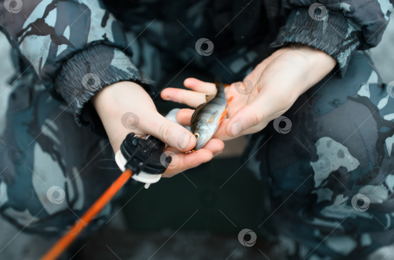 Скачать Рыбак держит пойманную рыбу крупным планом. Зимняя рыбалка на озере. фотосток Ozero