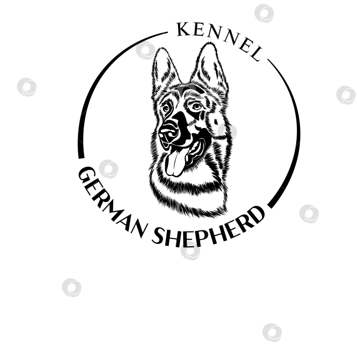 Скачать Логотип с головой немецкой овчарки фотосток Ozero