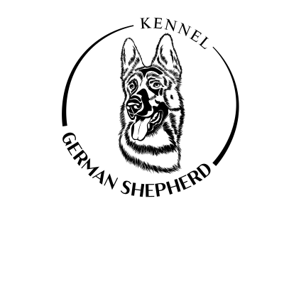 [object Object] undefined