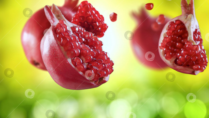 Скачать Pomegranate. фотосток Ozero