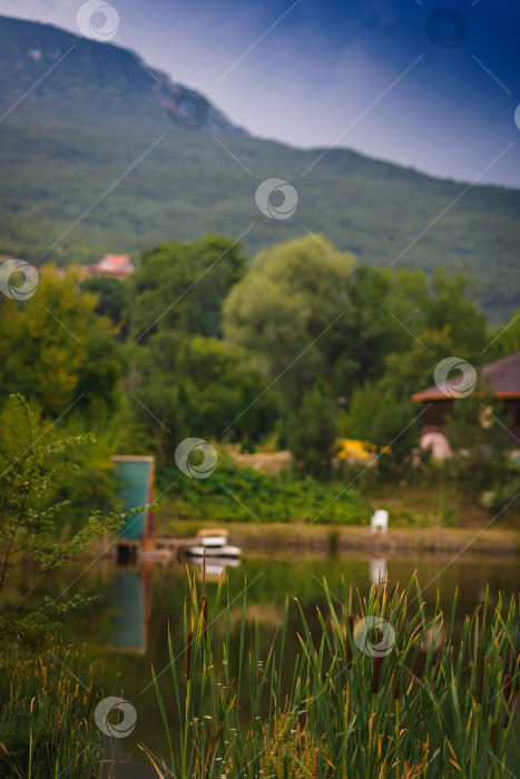 Скачать Лето, трава, зеленый, рыбалка, камыш фотосток Ozero