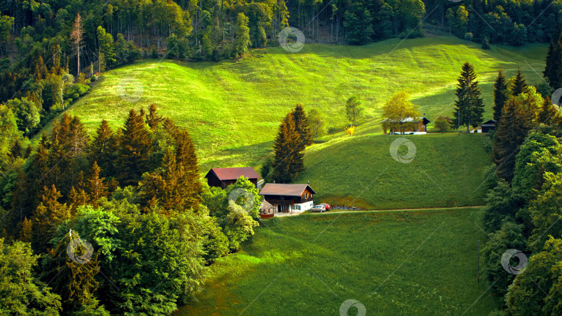 Скачать Дом на зеленой лужайке рядом с лесом. фотосток Ozero