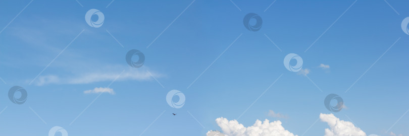 Скачать Легкие облака в голубом небе с птицей. Светло-голубой баннер. фотосток Ozero