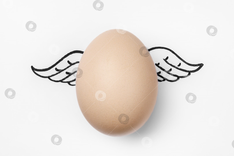 Скачать Куриное яйцо с нарисованными крылышками на белом фоне, крупный план, вид сверху фотосток Ozero