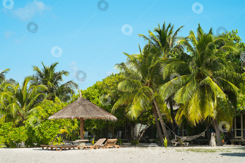 Скачать Райский отдых на Мальдивах (атолл Лавияни) фотосток Ozero