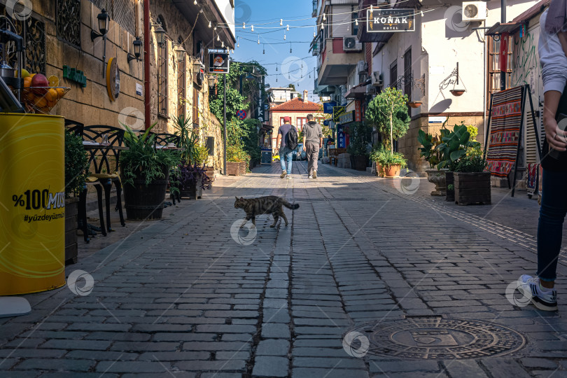 Скачать вид в историческом центре Анталии с кошкой фотосток Ozero