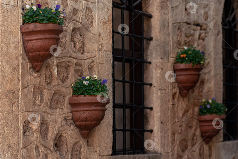 Скачать кашпо с цветами на внешней стене старинного здания на исторической улице фотосток Ozero