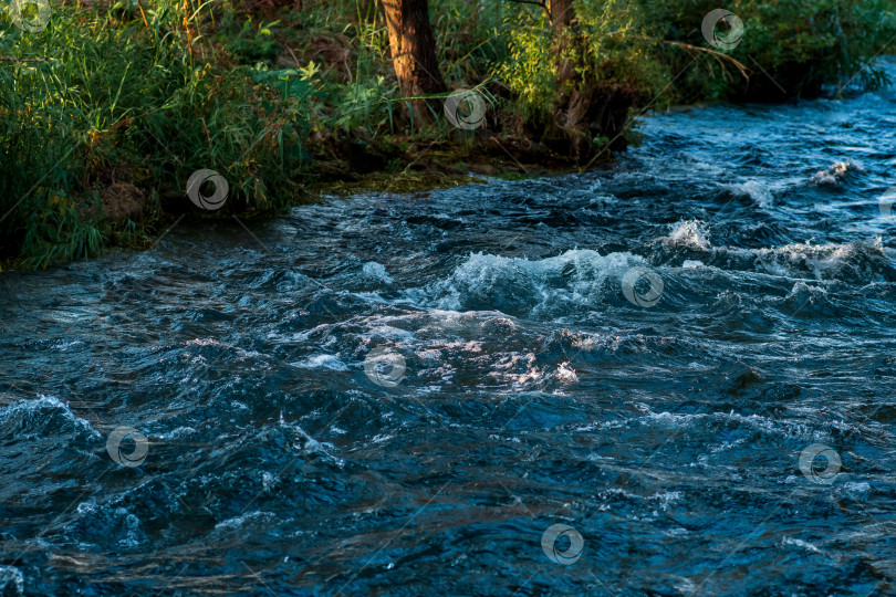 Скачать быстрая горная река течет среди лесистых берегов фотосток Ozero