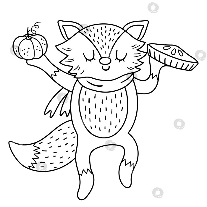 Скачать Симпатичная черно-белая лиса в шарфе с тыквенным пирогом. Векторный контур осеннего символа или символа Дня благодарения, изолированного на белом фоне. Значок лесного животного в линейке осеннего сезона.  Забавная лесная иллюстрация. фотосток Ozero