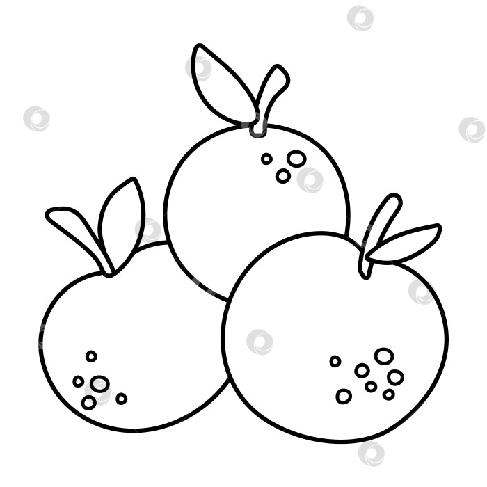 Скачать Векторная груда черных и белых яблок с листьями. Значок осенней фруктовой линейки. Забавная контурная иллюстрация, выделенная на белом фоне. Клипарт или раскраска для сбора урожая в саду или на ферме фотосток Ozero
