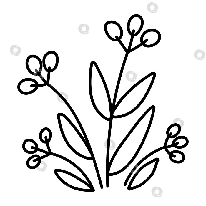 Скачать Векторный черно-белый значок осеннего ягодного куста. Иллюстрация контура осеннего растения. Цветочный клипарт. Симпатичная линия детской кровати, выделенная на белом фоне. фотосток Ozero