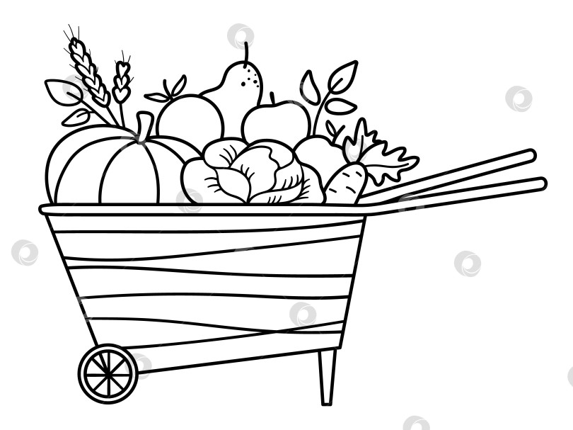 Скачать Векторная черно-белая тачка с яблоками, грушей, тыквой, морковью. Осенний контурный садовый клипарт. Иллюстрация фруктов и овощей, изолированная на белом фоне. Значок линии сбора урожая осеннего сезона фотосток Ozero