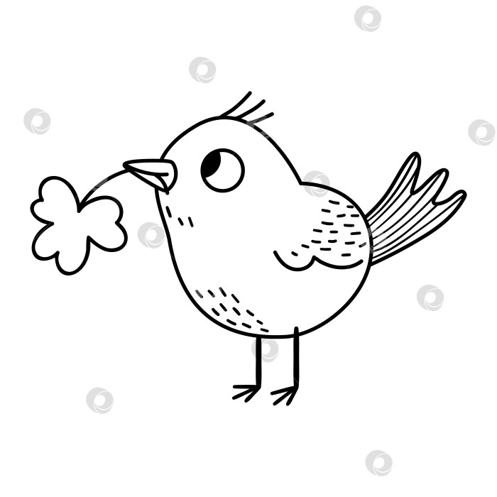 Скачать Векторная черно-белая забавная птица с трилистником в клюве. Симпатичная набросковая иллюстрация ко Дню Святого Патрика. Значок линии национального ирландского праздника или раскраска, выделенные на белом фоне. фотосток Ozero