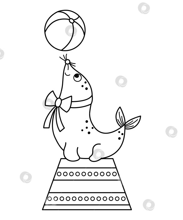 Скачать Черно-белый морской лев на подставке с мячом. Векторное цирковое животное. Значок праздничной линейки развлечений. Симпатичный забавный рисунок с изображением тюленя. Иллюстрация комика уличного шоу или раскраска фотосток Ozero