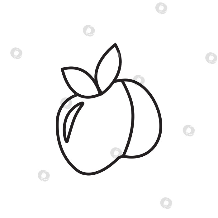 Скачать Иллюстрация рисунка в виде линии каракулей персика или яблока. Рисунок фруктов черной линией с листьями. фотосток Ozero