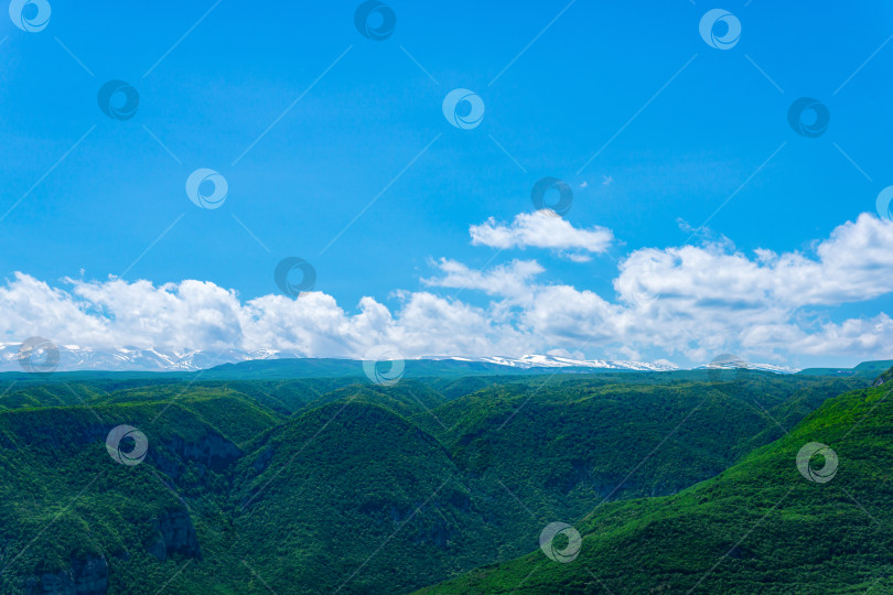Скачать красивый лесистый альпийский пейзаж с заснеженным горным хребтом на горизонте фотосток Ozero