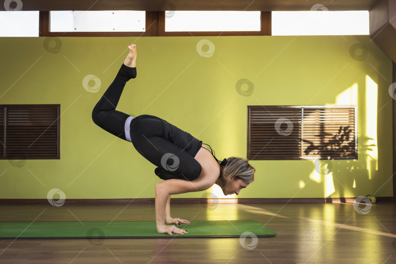 Скачать Женщина, практикующая йогу, выполняет вариацию упражнения Эка Пада Бакасана, стойка на руках с вытянутой ногой, тренируется на коврике в студии фотосток Ozero