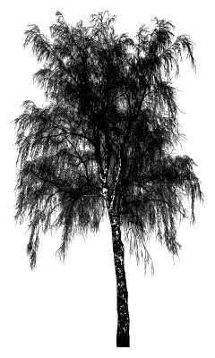 [object Object] undefined