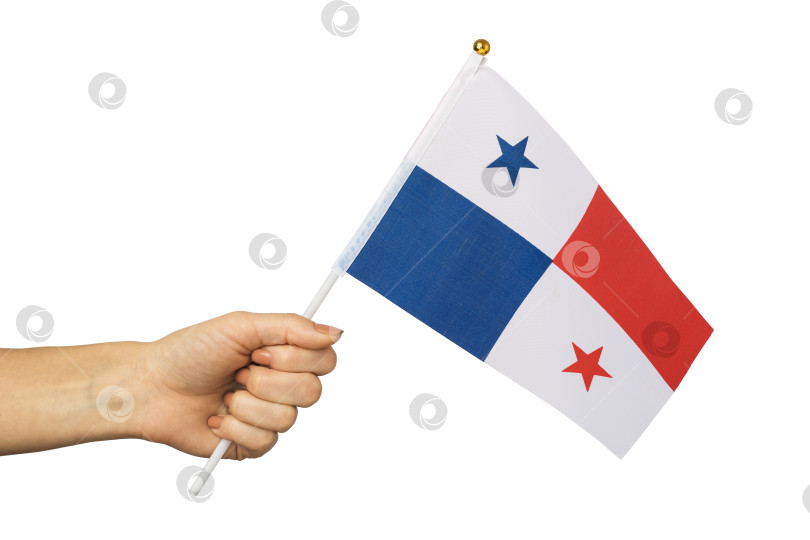 Скачать Панамский флаг в руке, выделенный на белом фоне, шаблон для дизайнеров фотосток Ozero