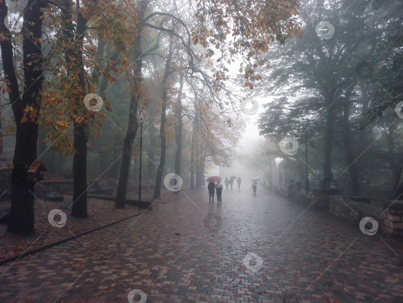 Скачать Мягкий фокус. Люди с зонтиками в движении. Туманное утро фотосток Ozero