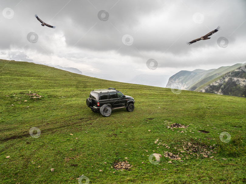 Скачать Внедорожник на краю зеленого крутого обрыва с летящими орлами. фотосток Ozero