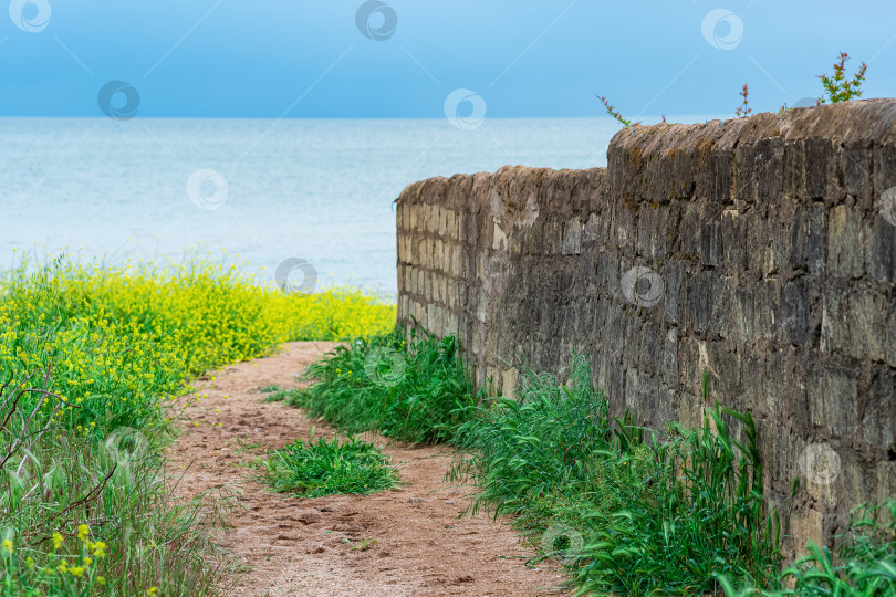 Скачать тропинка к морю вдоль старого каменного забора фотосток Ozero