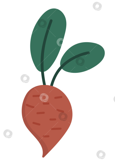 Скачать Векторный значок свеклы. Осенний овощ. Корнеплод свеклы плоского типа. Забавная иллюстрация урожая овощей, выделенная на белом фоне. Изображение органической фермерской еды фотосток Ozero