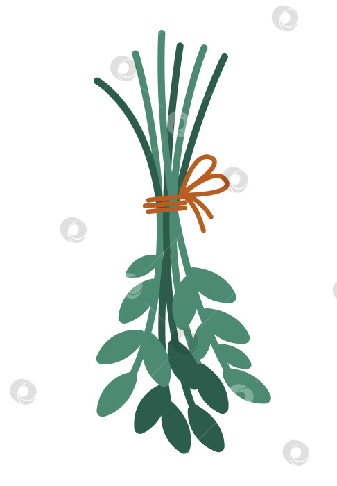 Скачать Векторный букет из симпатичных листьев. Обрезной пучок в плоском стиле, перевязанный веревкой. Забавная иллюстрация растения, изолированная на белом фоне. Сохнущие зеленые веточки висят вверх ногами. Значок фермерских трав фотосток Ozero