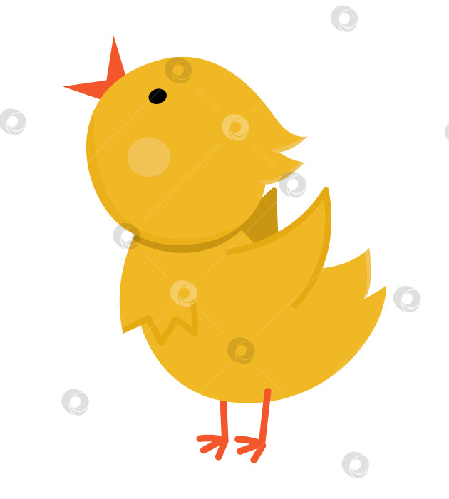 Скачать Векторный значок забавного цыпленка. Иллюстрация к весне, Пасхе или маленькой птичке с фермы. Симпатичный желтый поющий цыпленок, изолированный на белом фоне. фотосток Ozero