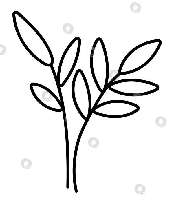 Скачать Векторные черно-белые листья. Набросайте рисунок из веточек. Забавная иллюстрация растения или раскраска, выделенная на белом фоне фотосток Ozero