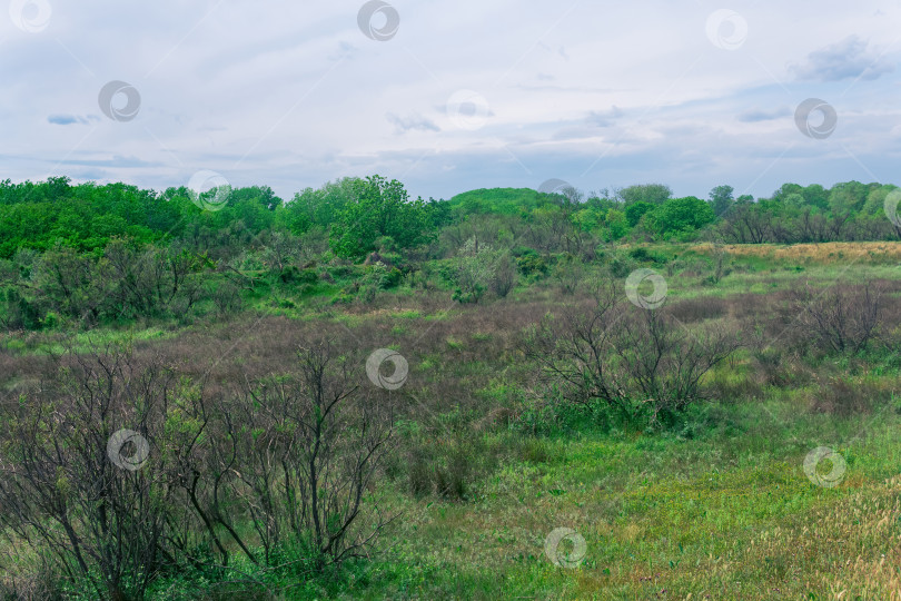 Скачать лесостепной ландшафт Прикаспийской низменности фотосток Ozero