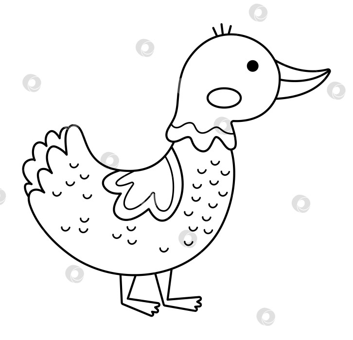 Скачать Векторный черно-белый значок утки. Милая мультяшная иллюстрация для детей. Фермерская птица, изолированная на белом фоне. Нарисуйте картинку с животными или раскраску для детей фотосток Ozero
