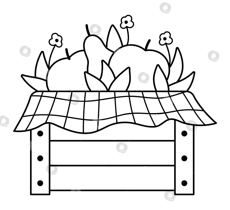 Скачать Векторная черно-белая деревянная коробка с яблоками, грушами, цветами, листьями, клетчатой тканью. Клипарт с контурами осеннего сада. Забавная фруктовая иллюстрация или раскраска. Значок линии сбора урожая на ферме фотосток Ozero