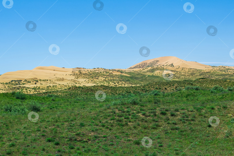 Скачать полупустынный ландшафт в окрестностях песчаной дюны Сарыкум фотосток Ozero