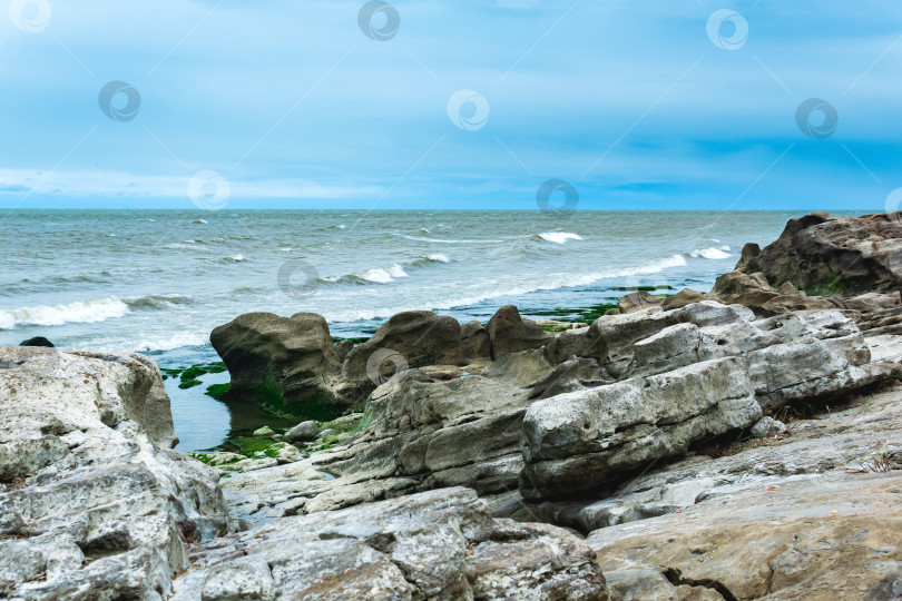 Скачать морской пейзаж, берег Каспийского моря с покрытыми водорослями прибрежными камнями фотосток Ozero