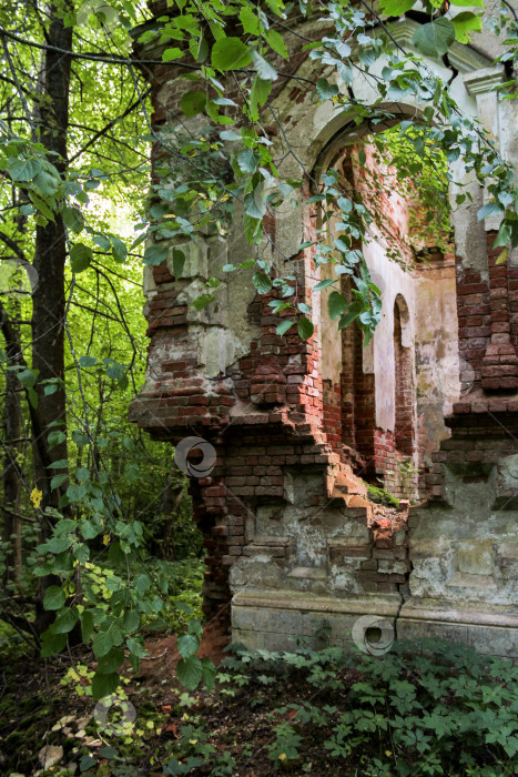 Скачать Угол разрушенного монастыря. фотосток Ozero