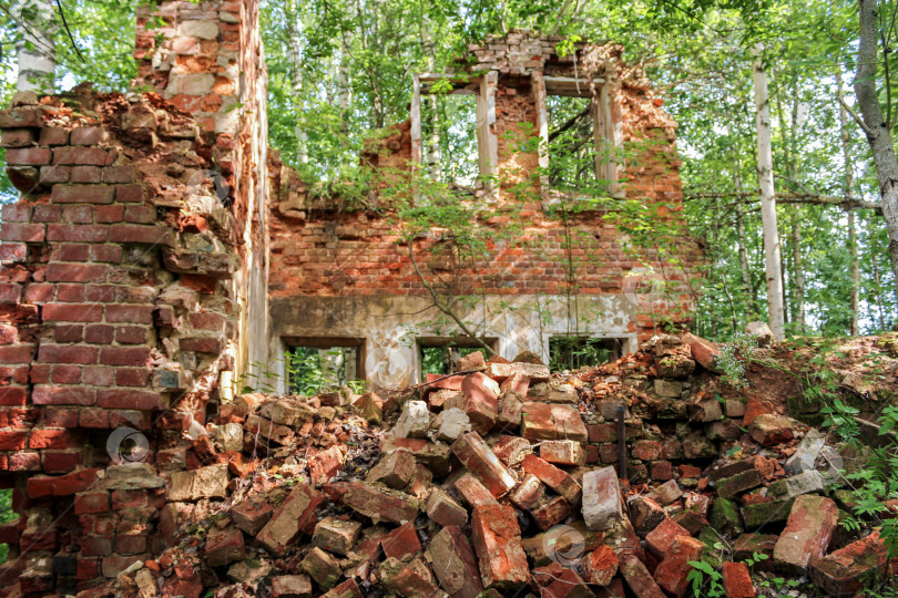 Скачать Руины древнего здания в лесу. фотосток Ozero