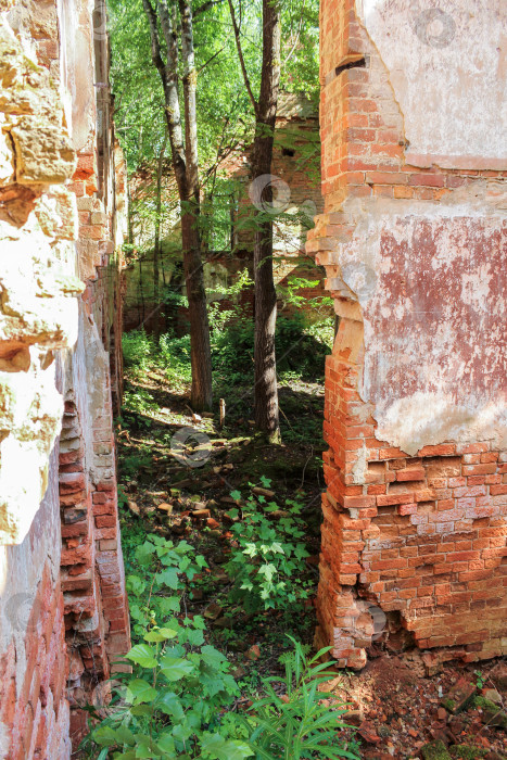 Скачать Проход между старыми стенами. фотосток Ozero