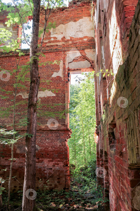 Скачать Руины древнего монастыря. фотосток Ozero